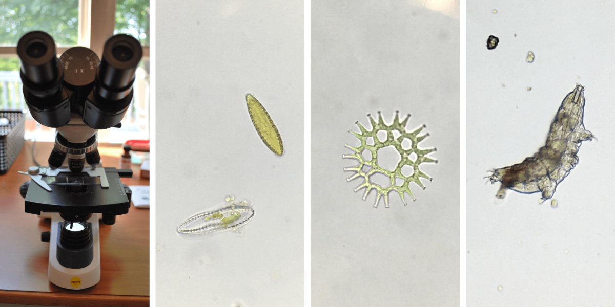 Микроскоп Rathenow