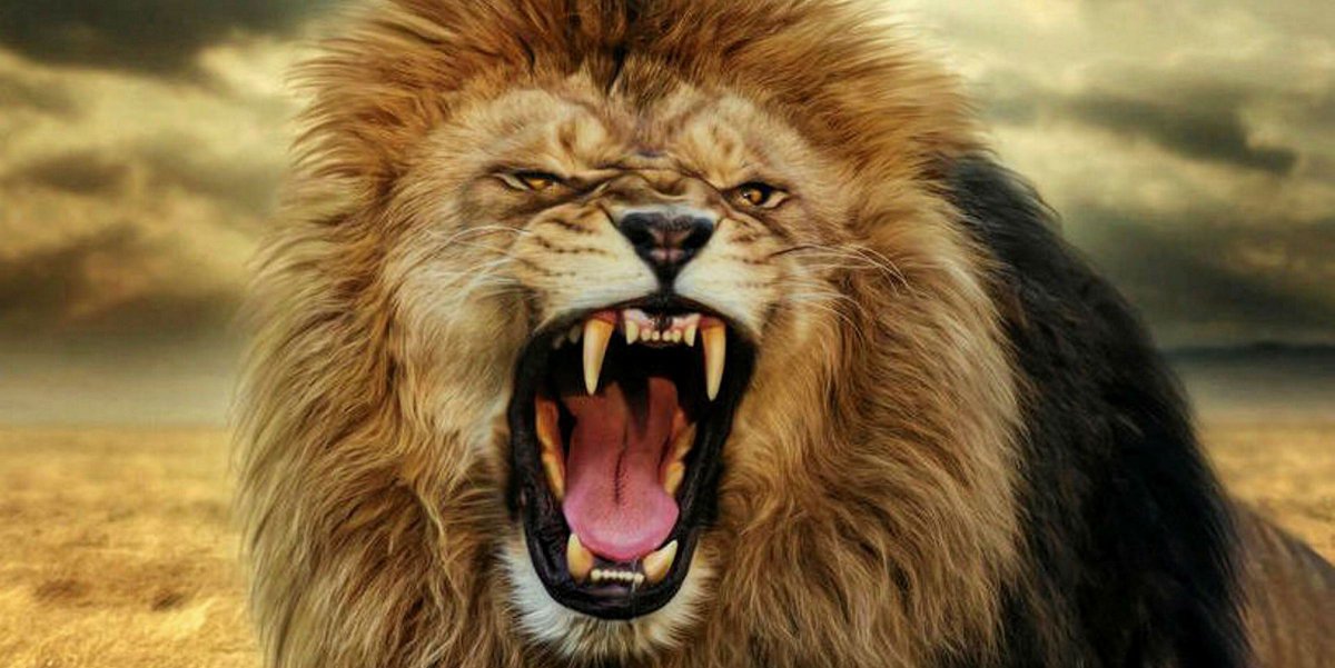 Лев рычит на фоне солнца