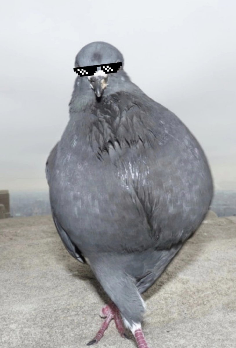 Наташа голубь Эдисон