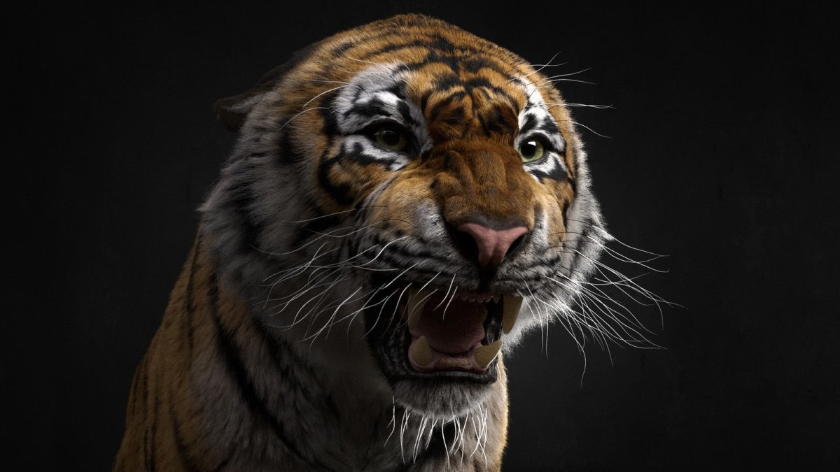 Тигр морда