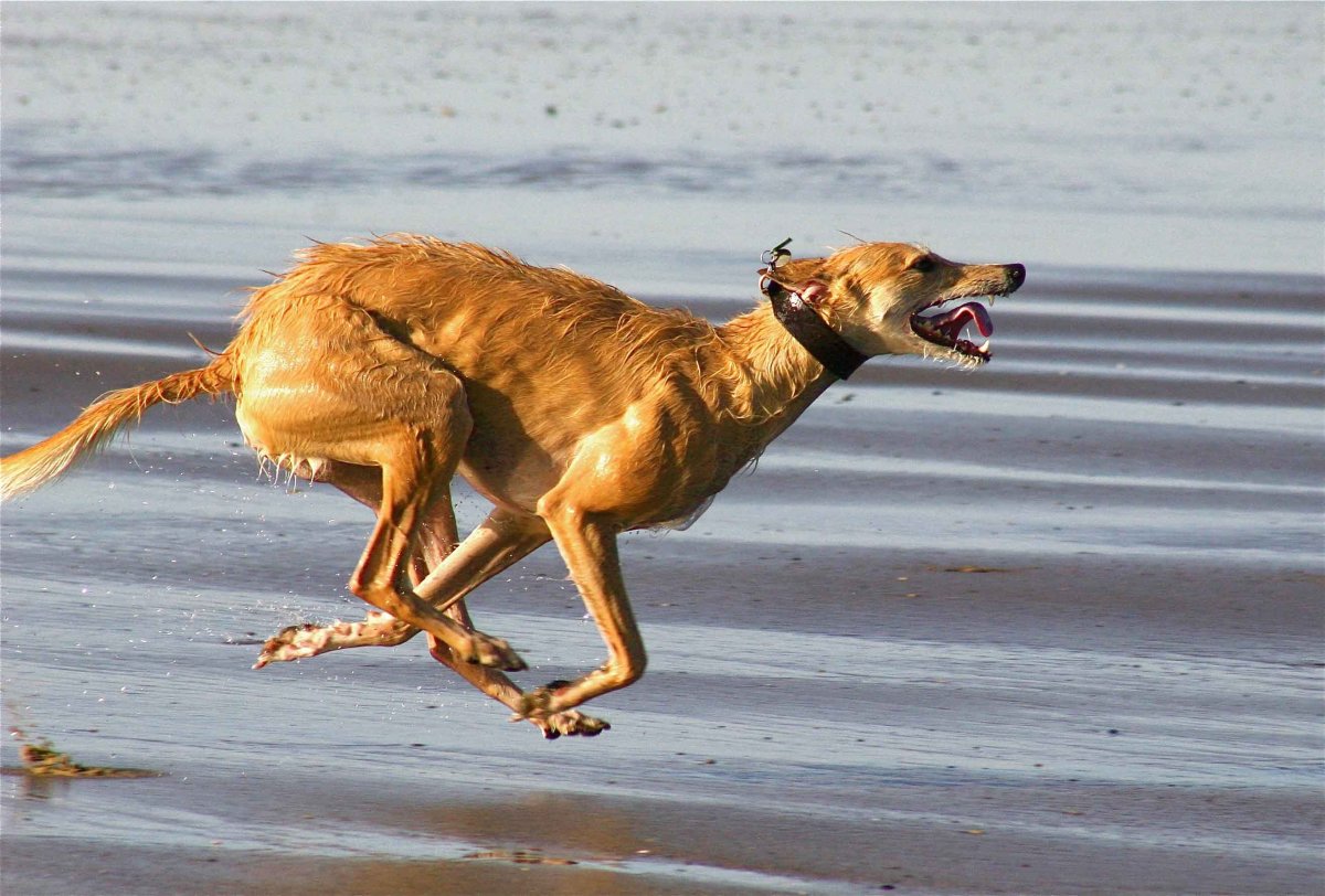 Лерчер улыбается