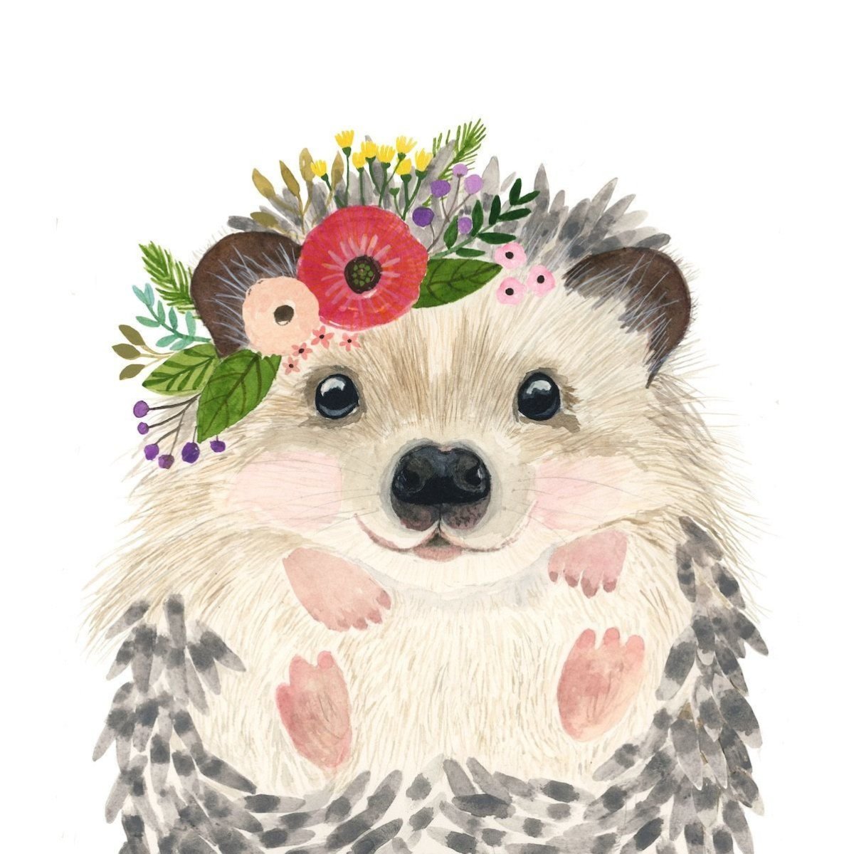 Ежик и Кактус