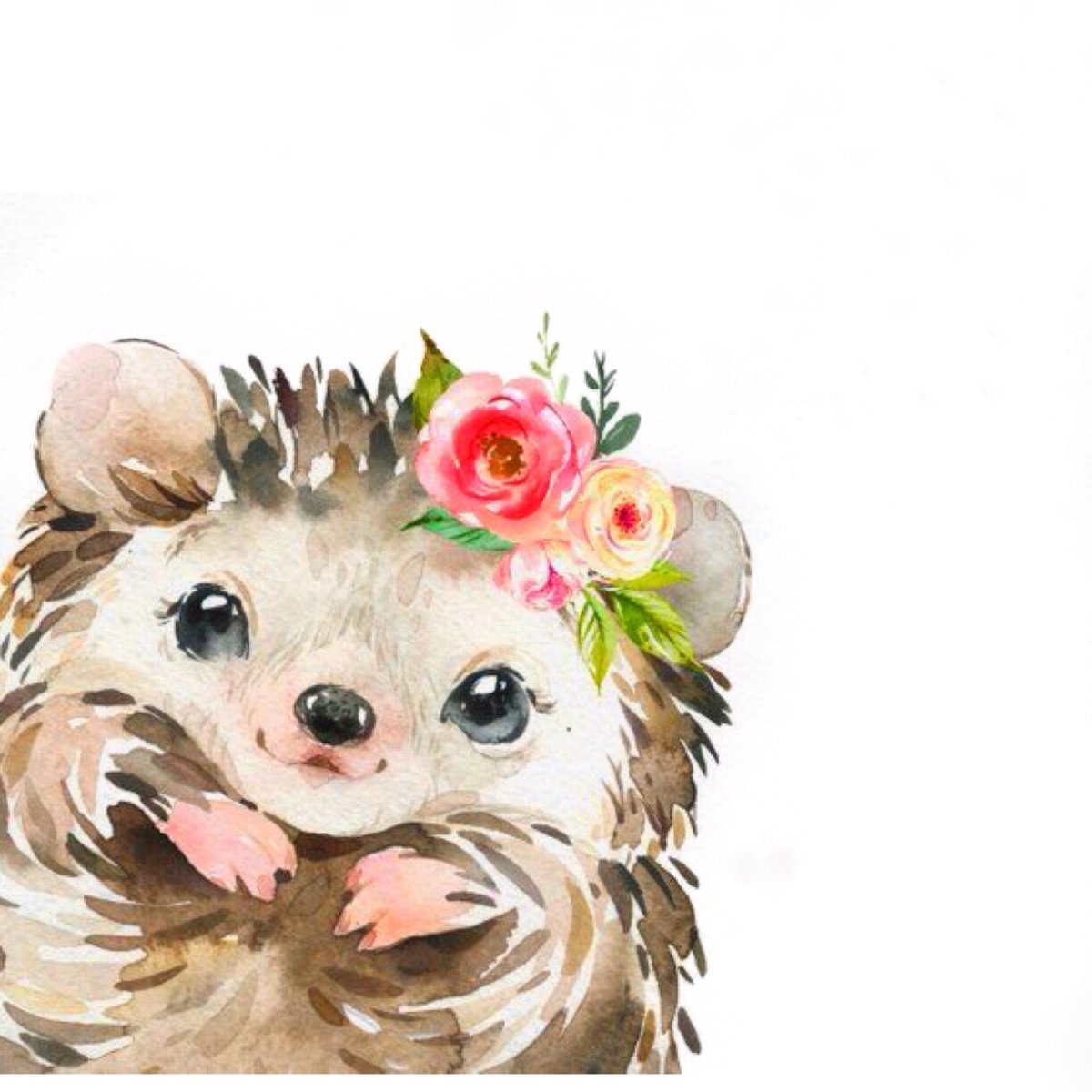 Ежик в ванной