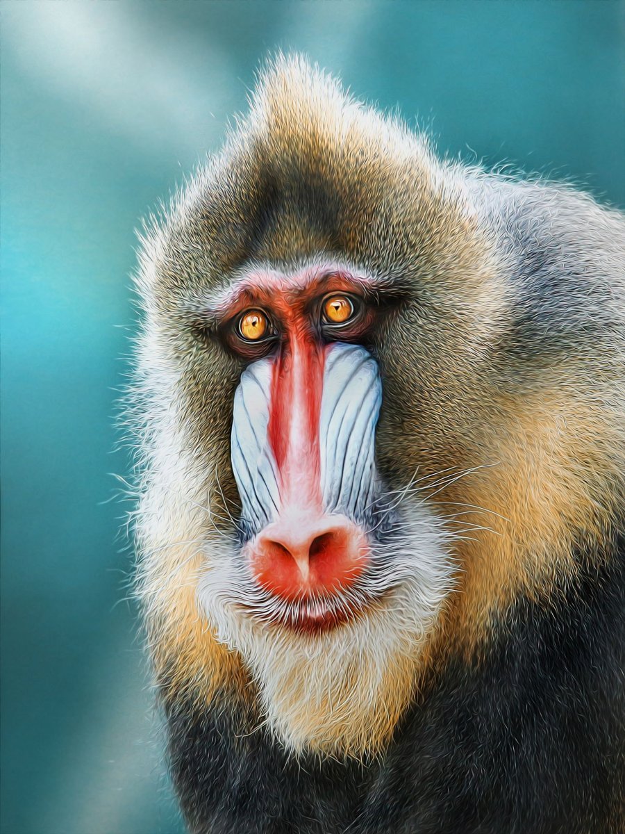 Павиан гамадрил