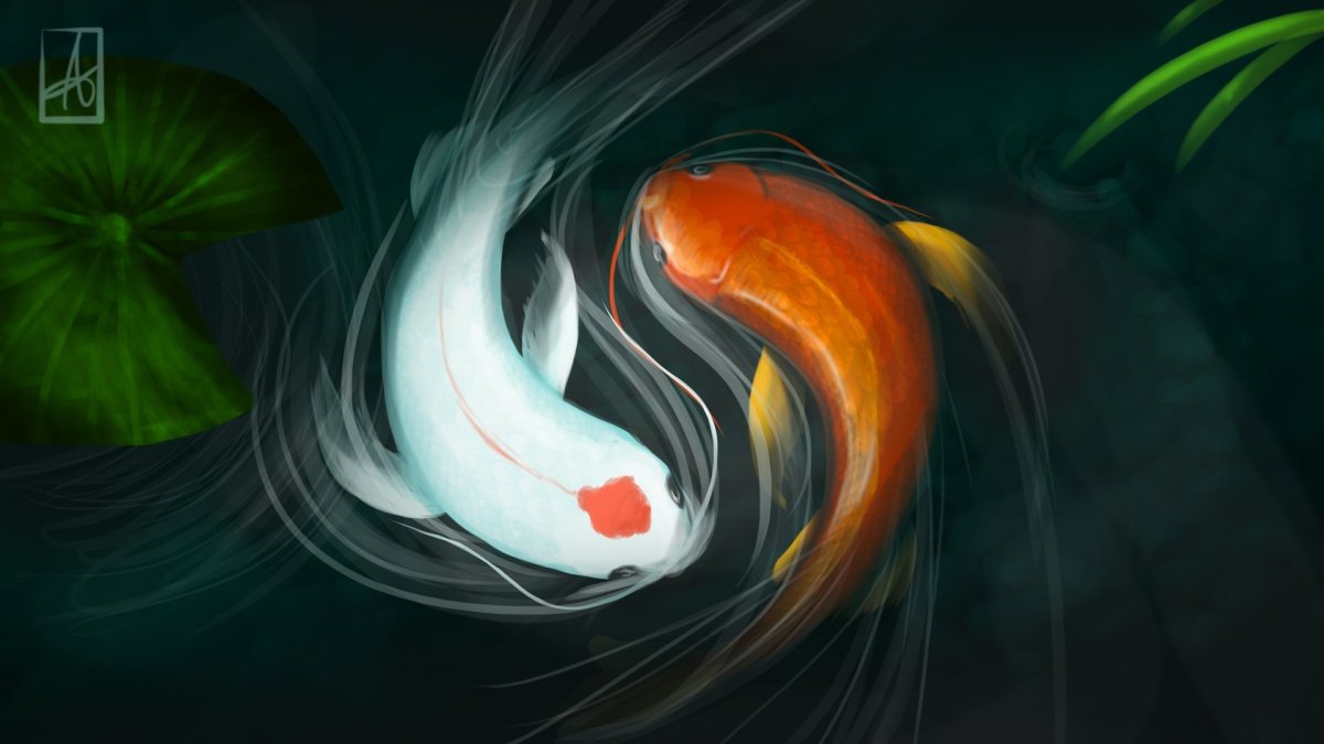 Рыбки кои Инь Янь