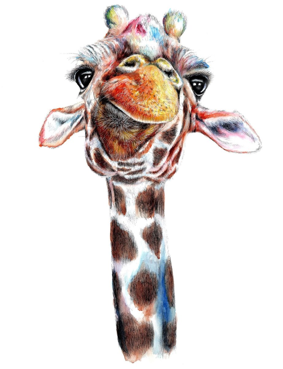 Разноцветный Жираф