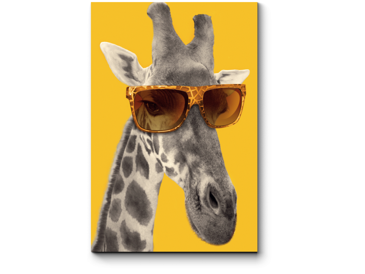 Картина Жираф в очках