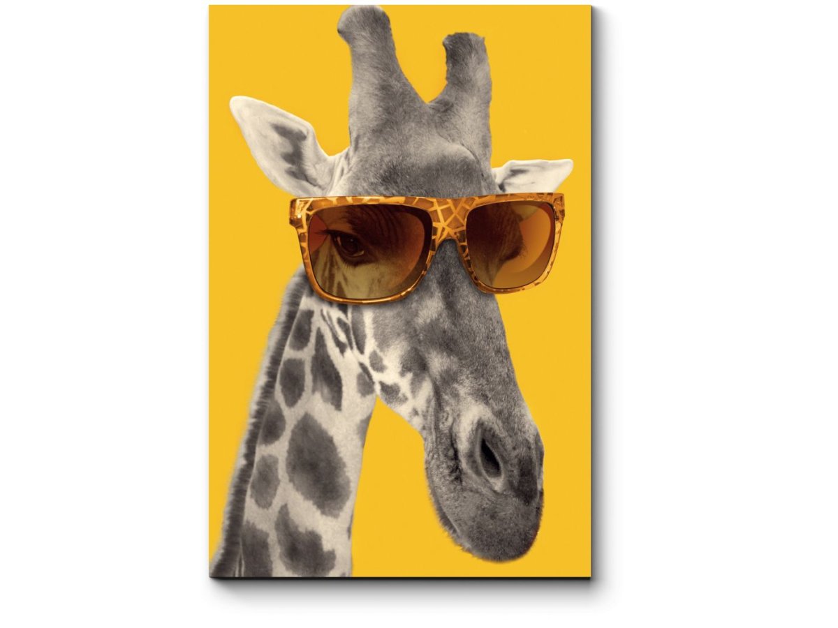 Жирафы в очках