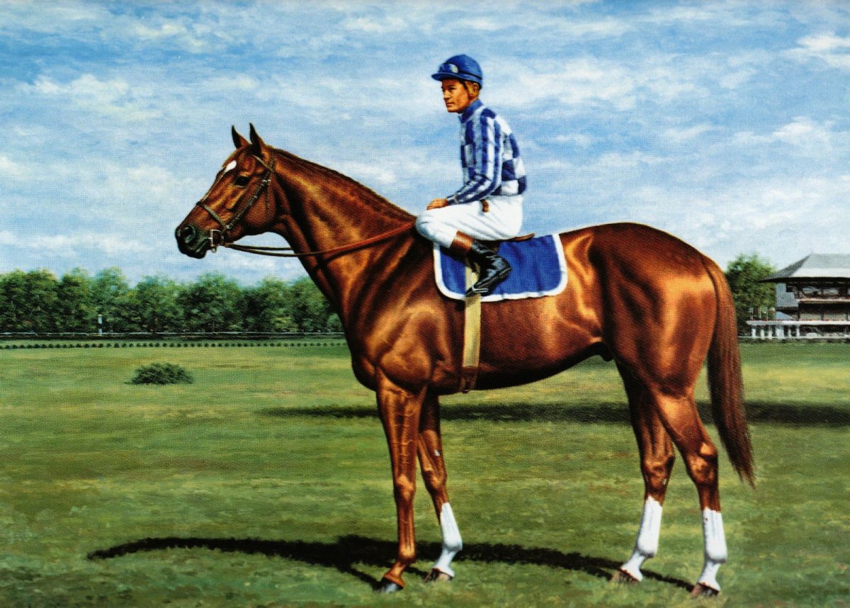1 секретариат. Барбаро лошадь. Легенда о лошади. Болд рулер лошадь. Секретариат рисунок.