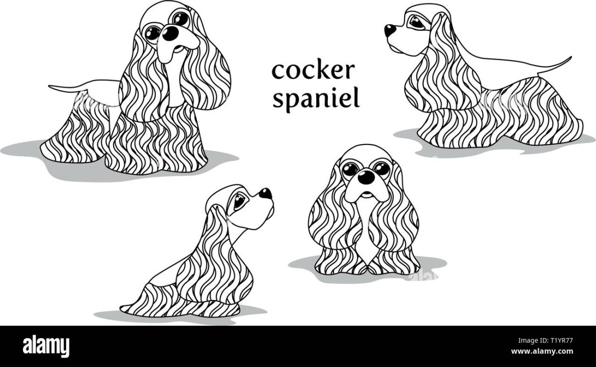 Эскизы тату с американским кокер спаниелем