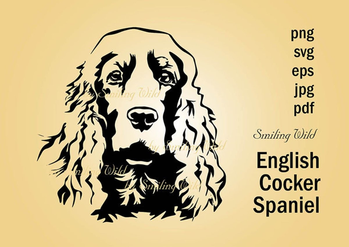 Кокер спаниель и красные туфли