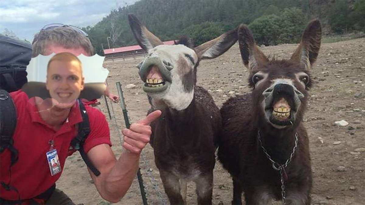 Осёл из Шрек 2