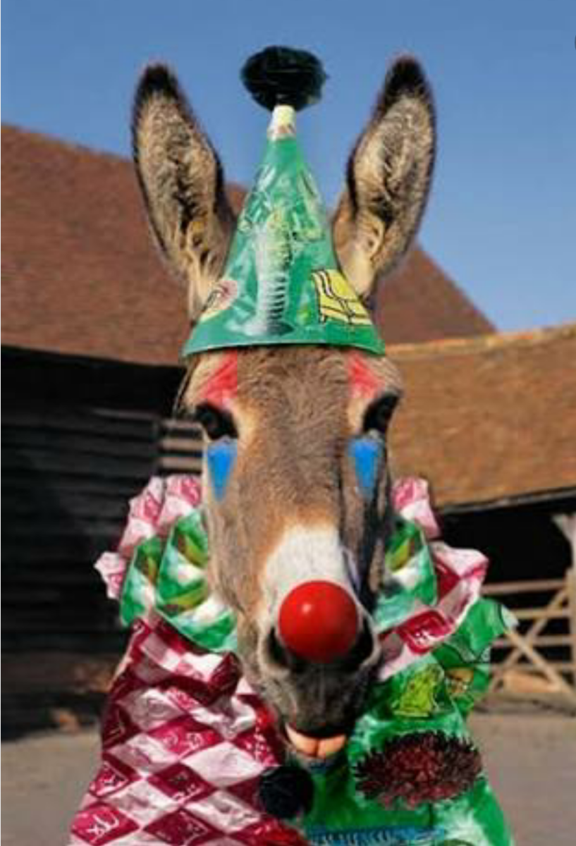 Смешной осел