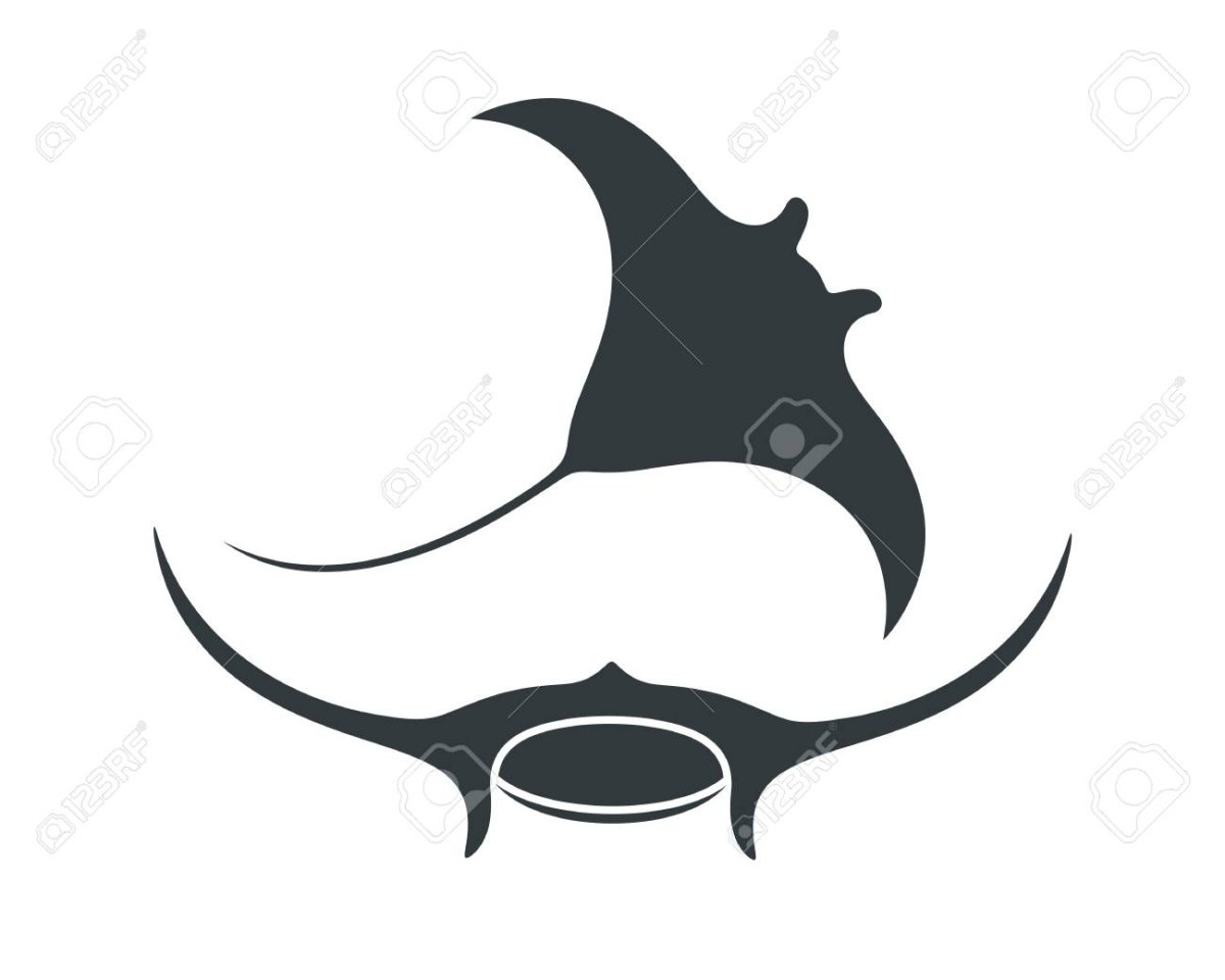 Скат силуэт