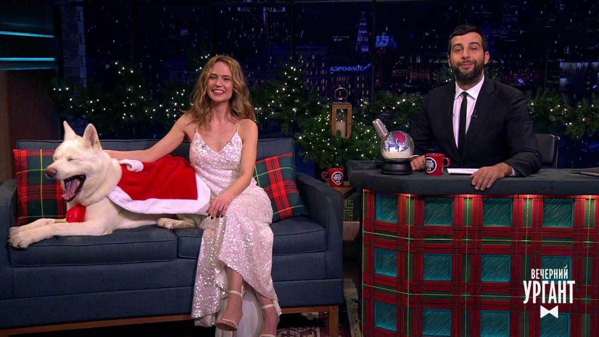 Следуй за псом