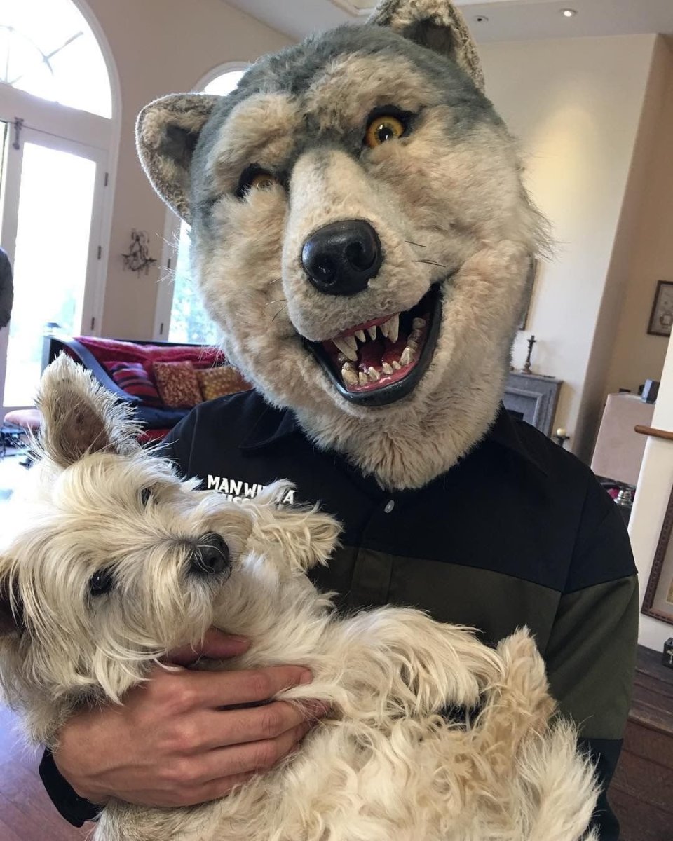 Собака съела товар