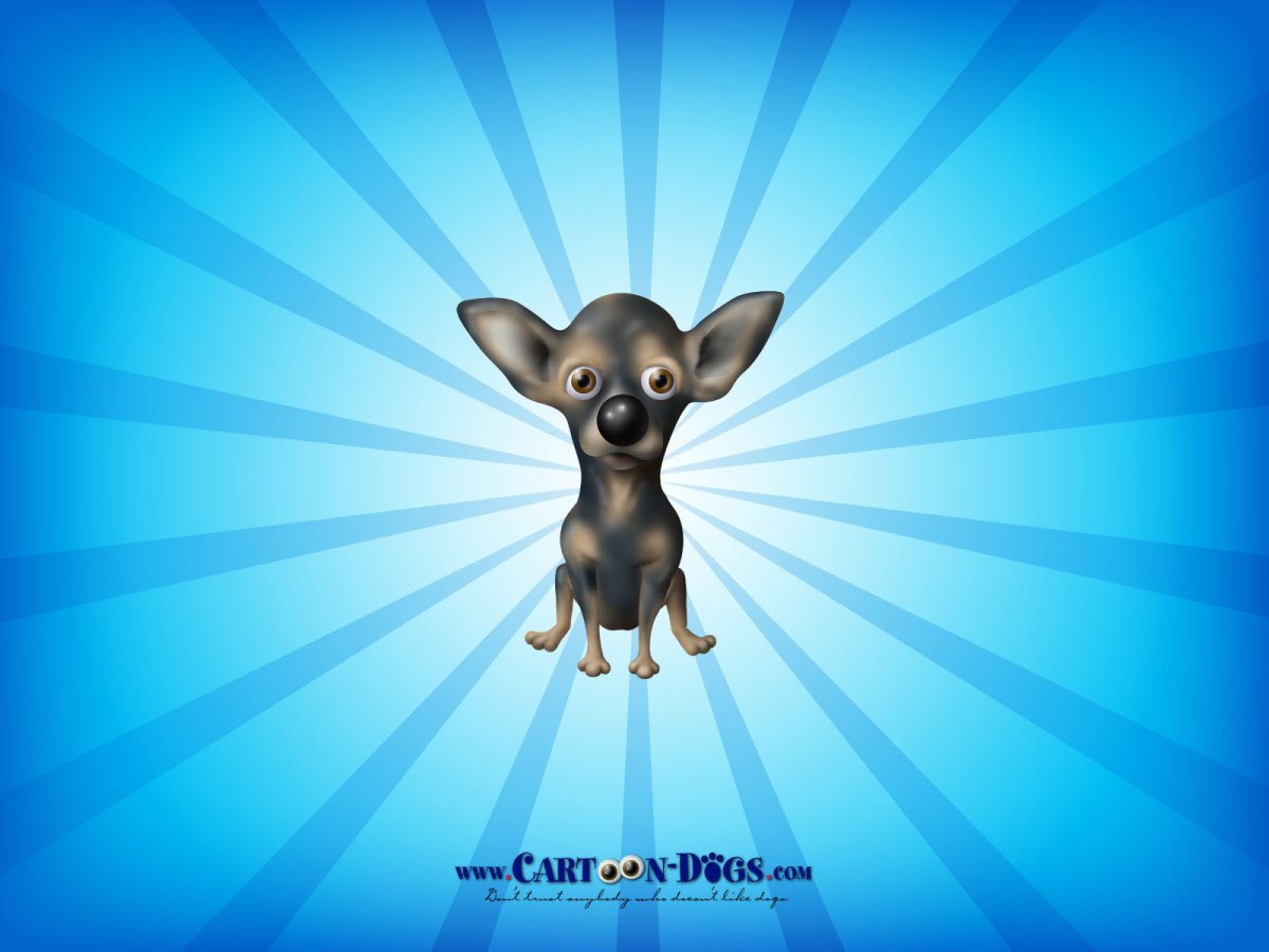 Собачки чихуахуа мини