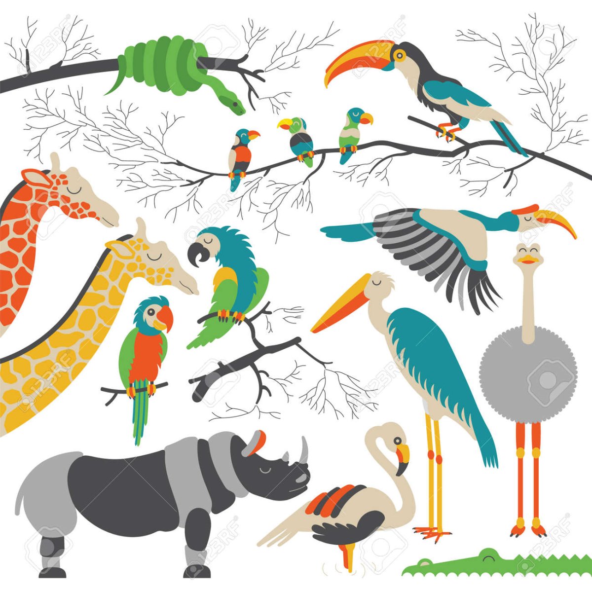 Мультяшные африканские птицы
