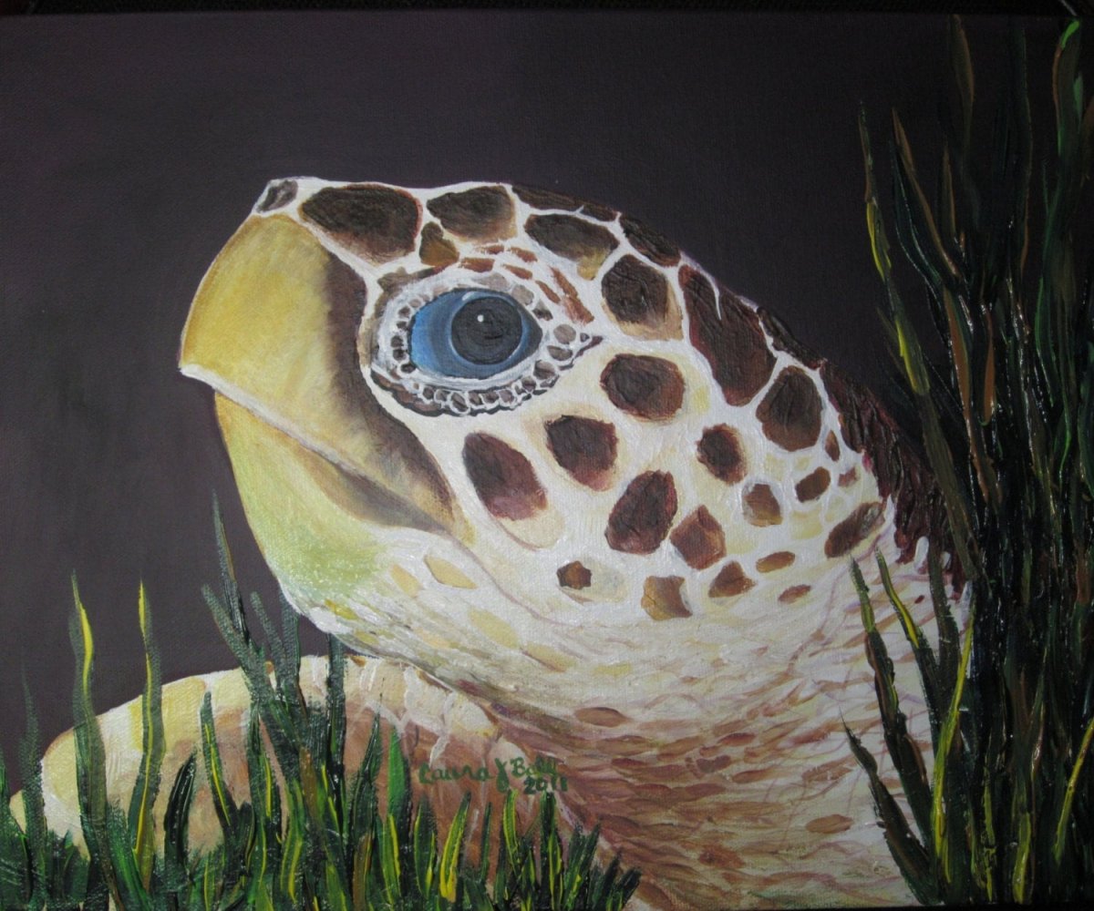 Черепаха большие глаза