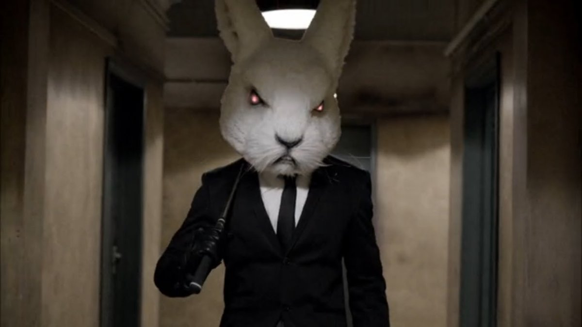 Самый большой заяц