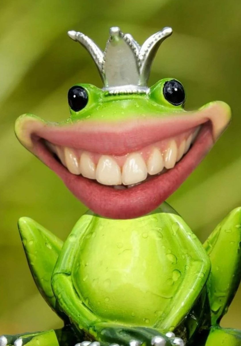 Лягушка улыбается