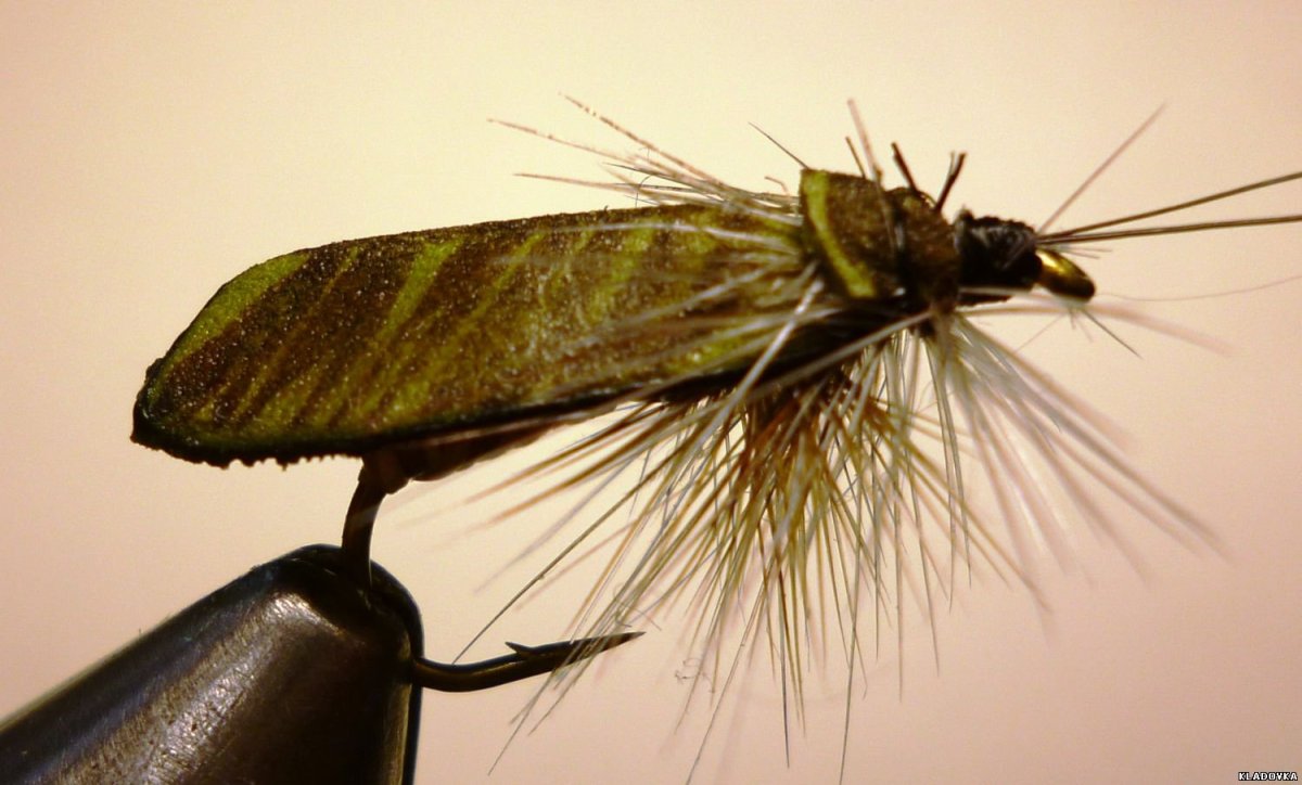 Ручейник насекомое