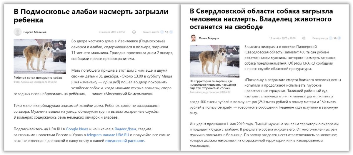 Туркменский тигровый алабай