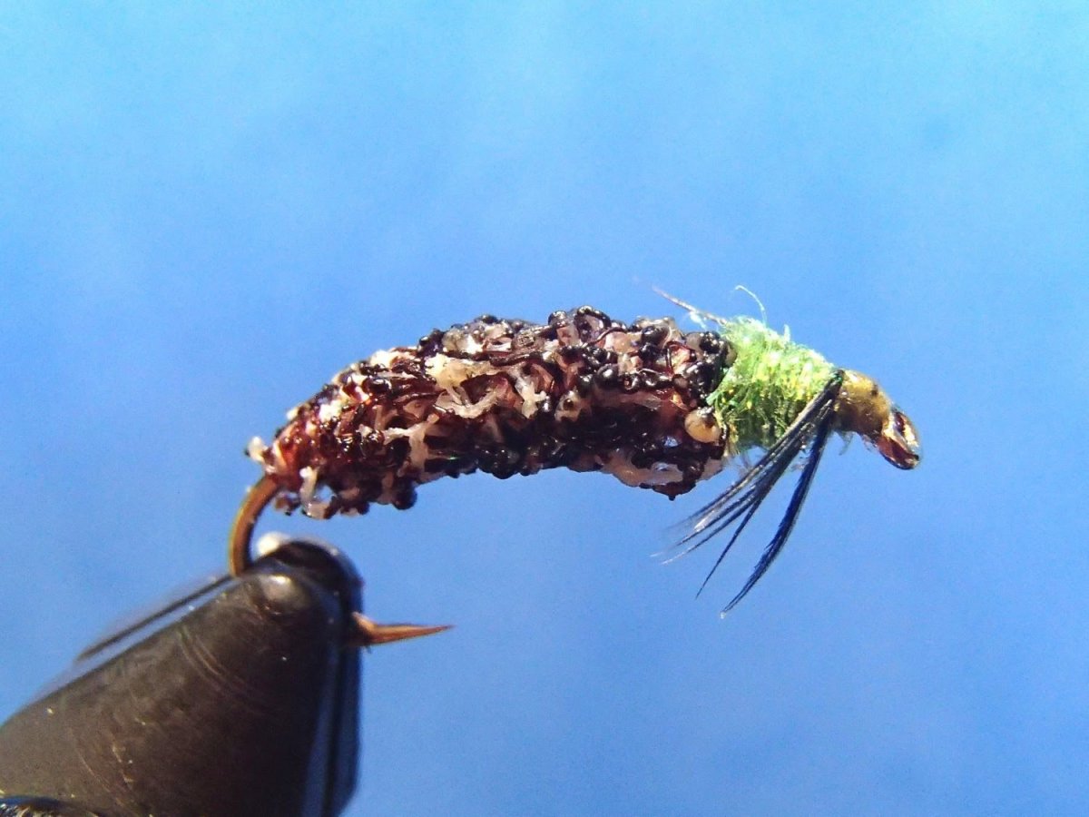 Ручейник лимнофилюс