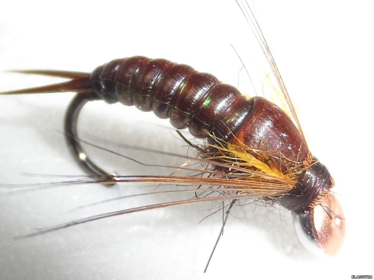 Ручейник Швед