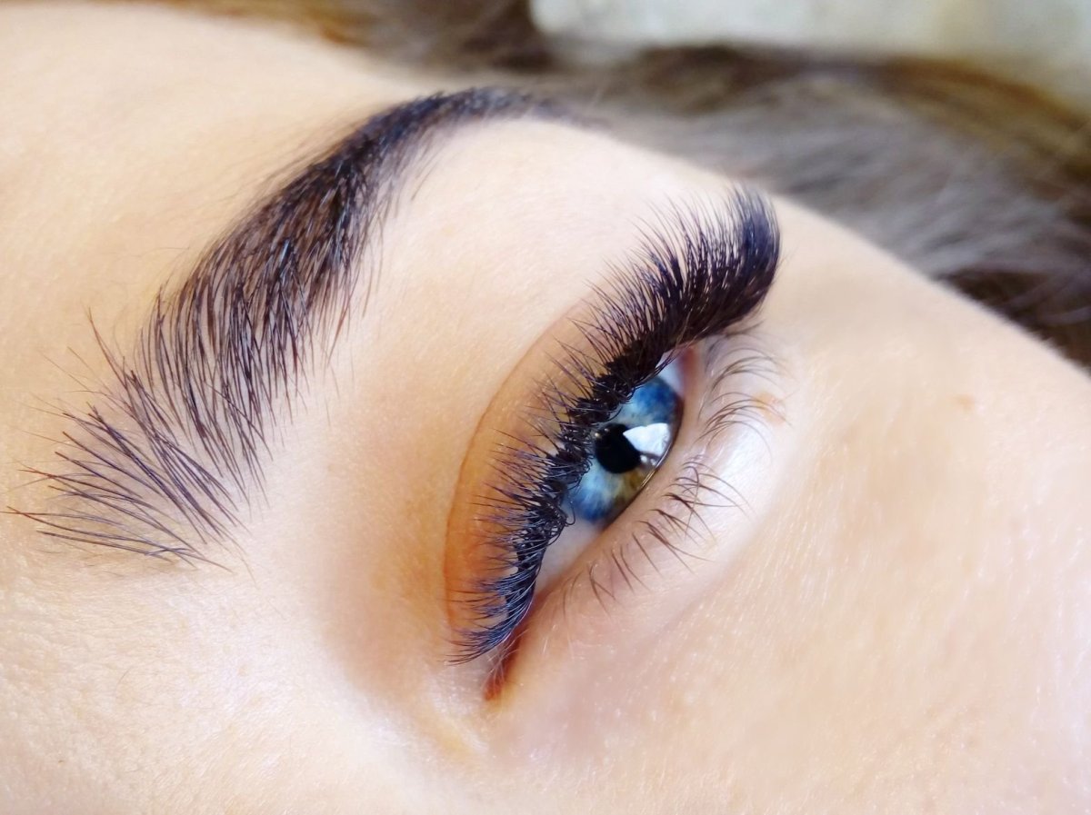 Ресницы белка 2д изгиб с