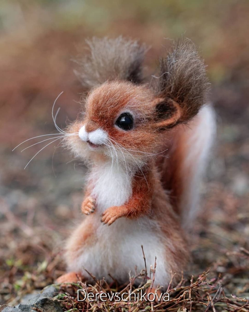 Грустный Бельчонок