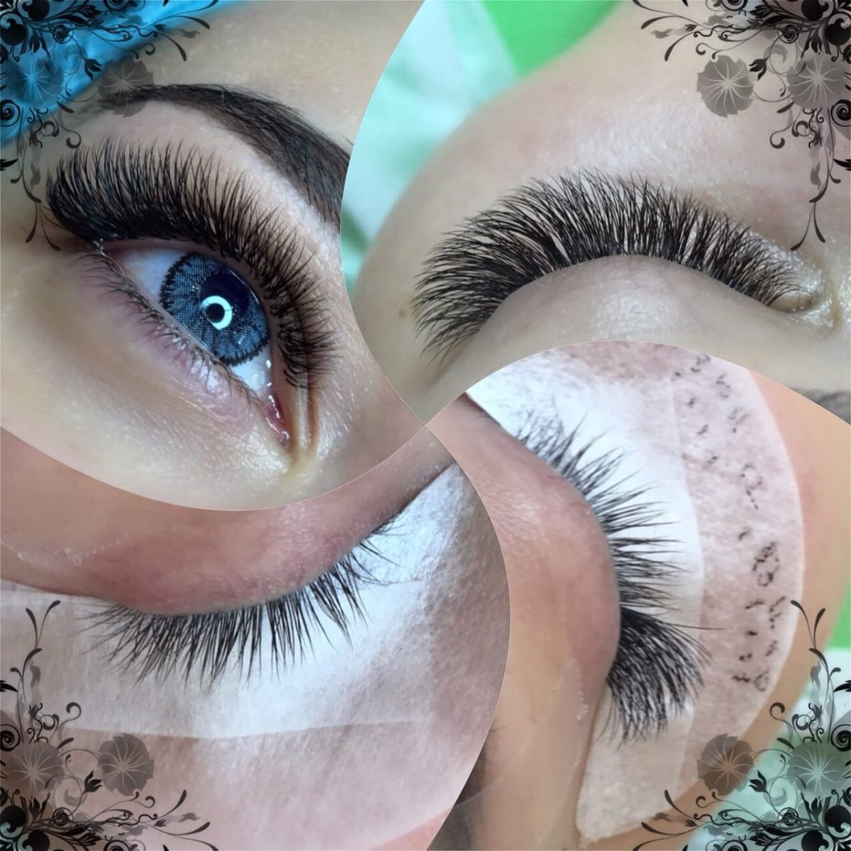 Белка когти