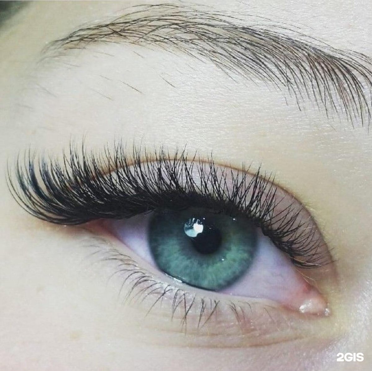 Грустная белка