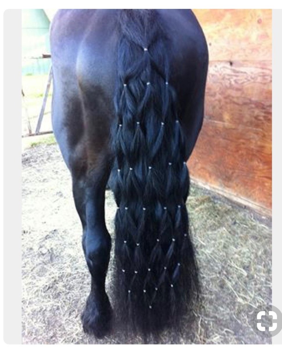 Лошади с заплетеноой гоивой