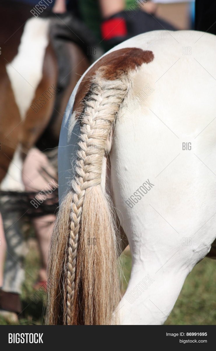 Коса из хвоста лошади