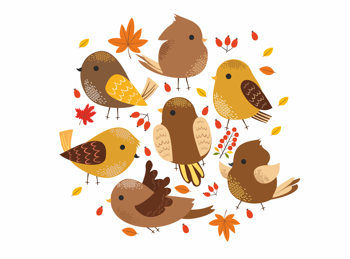 Синица осень