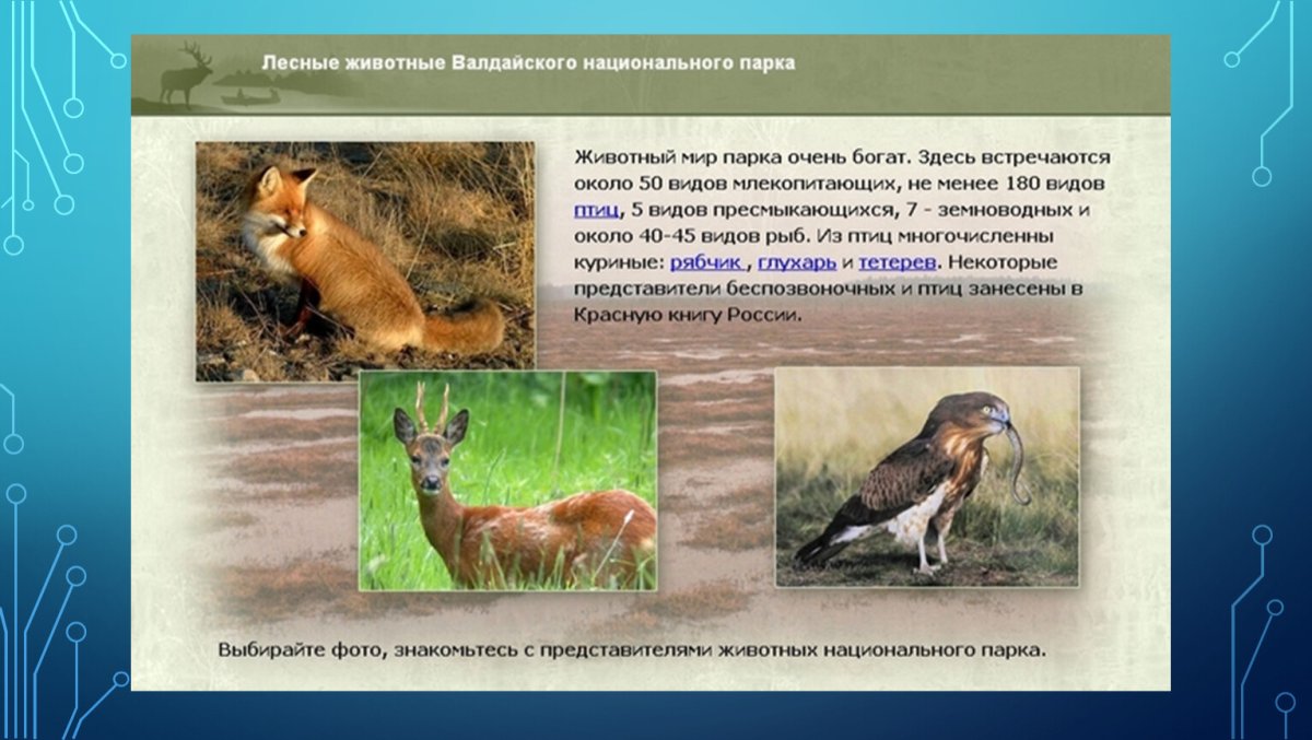 Фауна Валдайского национального парка