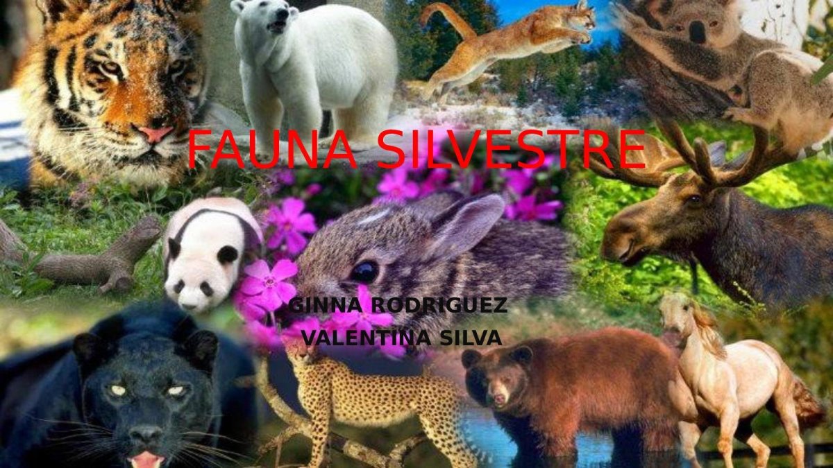 Многообразие животных