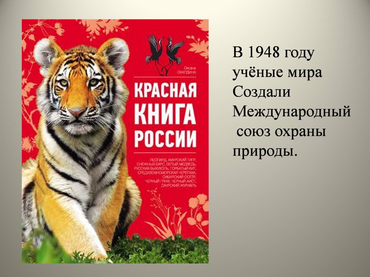 Красная книга России. Животные