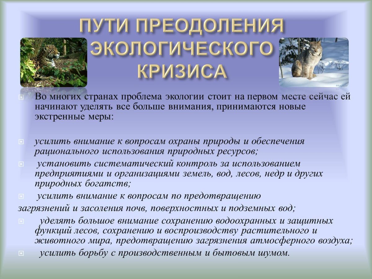 Преодоление экологического кризиса