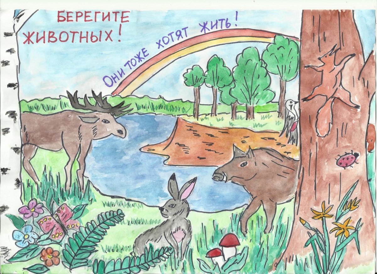 Рисунок берегите животных