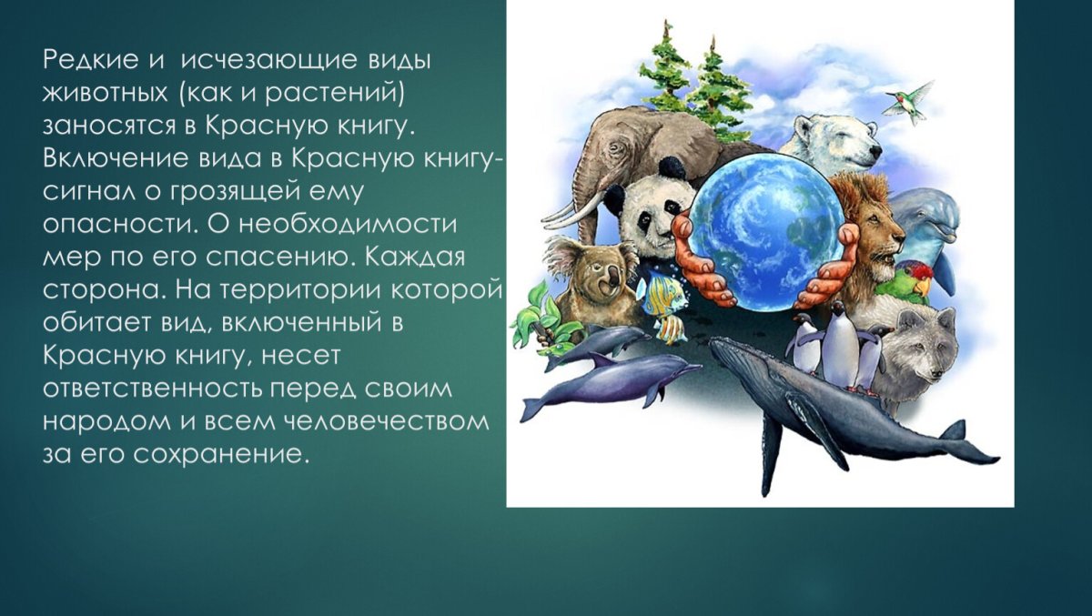 Исчезающие виды