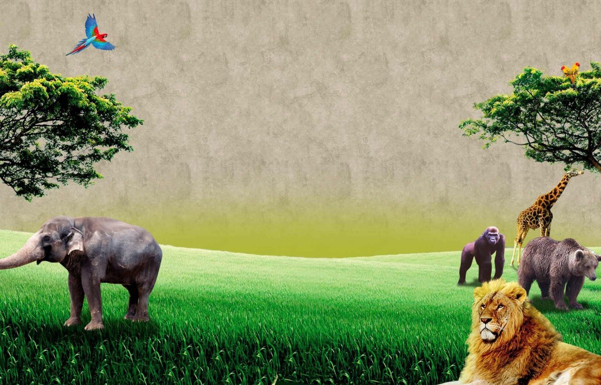 Фон животные