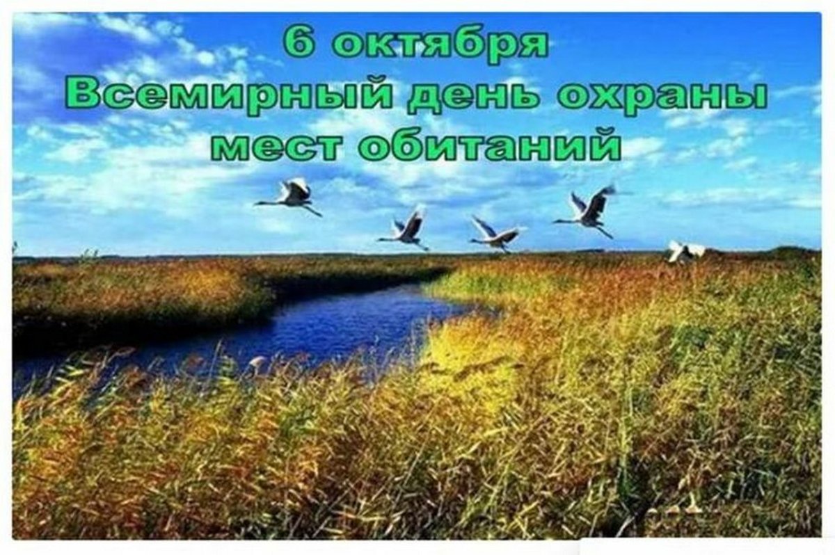 Всемирный день охраны мест обитаний