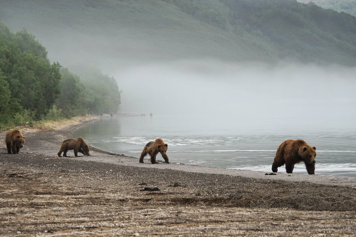 Петропавловск- Камчатский заповедник