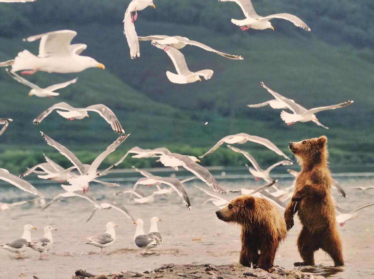 Геннадий Юсин фотограф