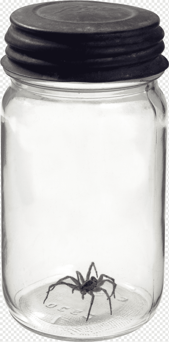 Паук Дрейн тату