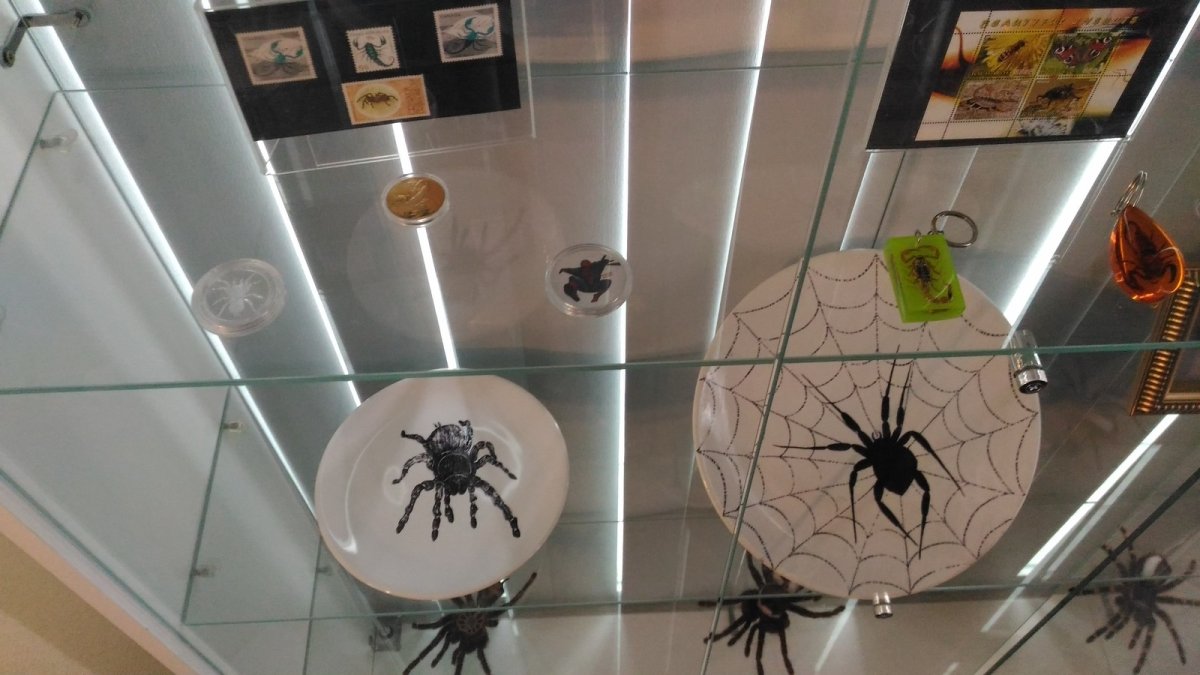 Паучище отбирал игрушки