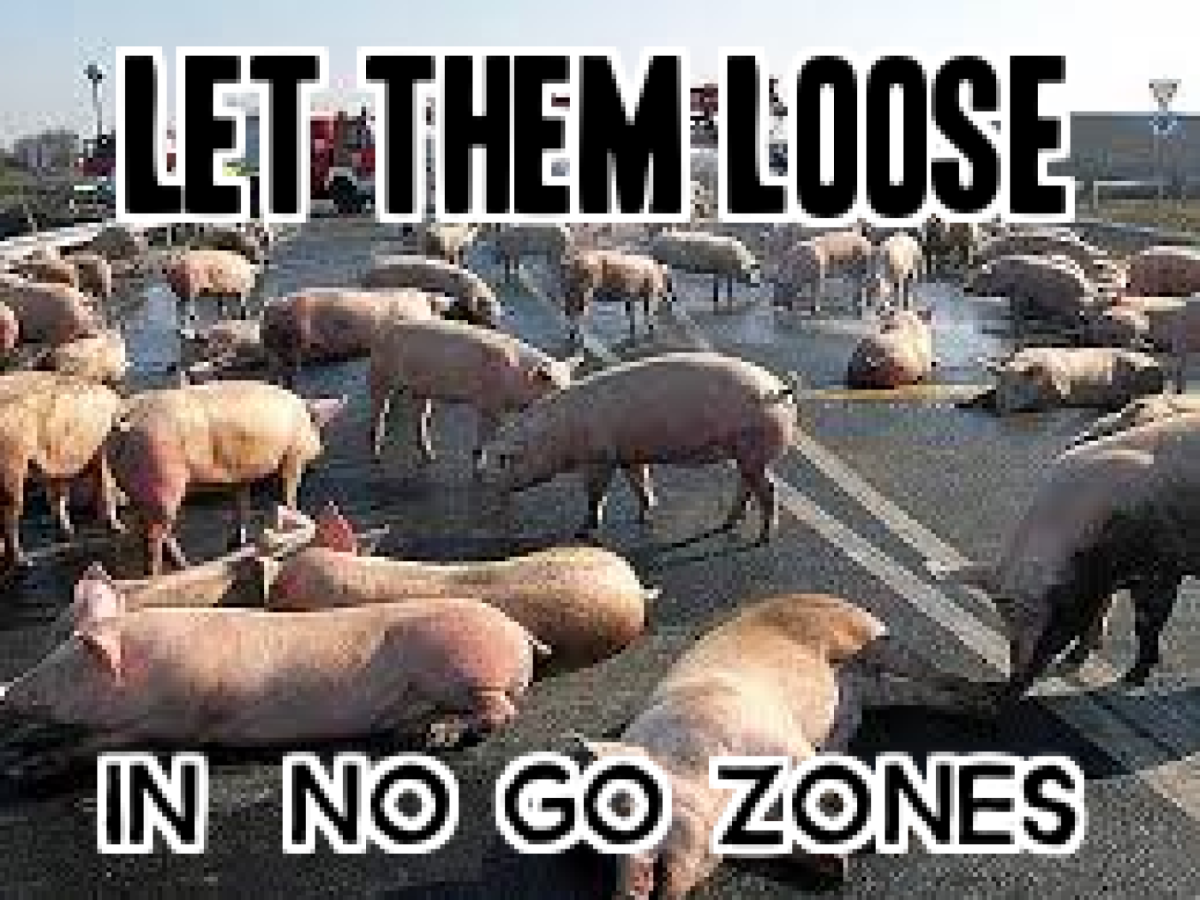 Женщина поросенок