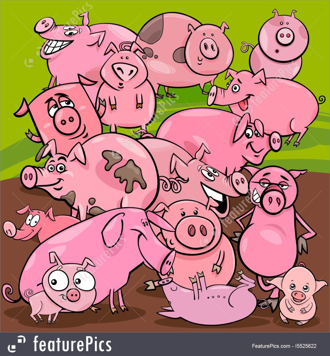 Свинья взрослая